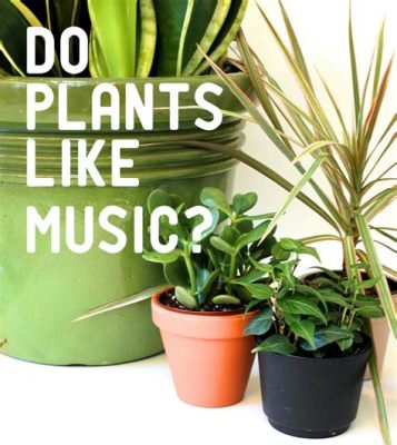 do plants grow better with music that is played in the morning